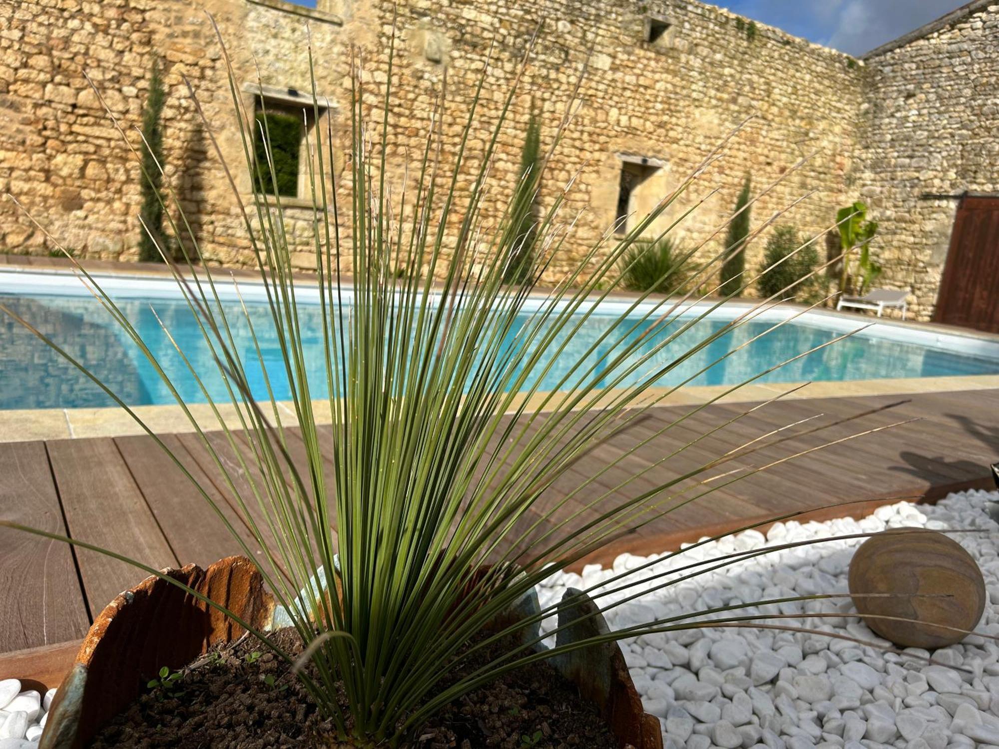 Domaine De La Gemoliere Bed & Breakfast Gemozac Ngoại thất bức ảnh