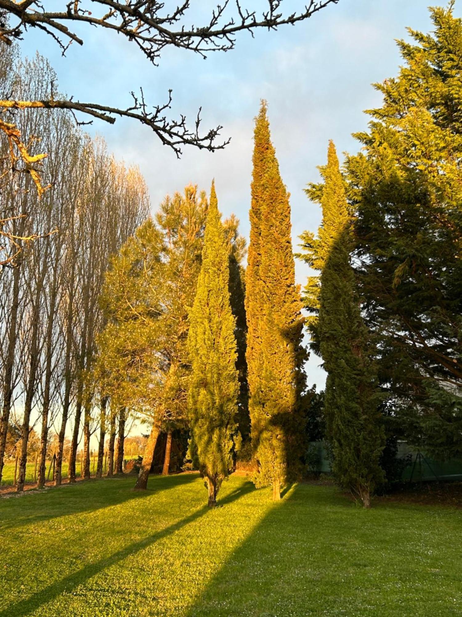 Domaine De La Gemoliere Bed & Breakfast Gemozac Ngoại thất bức ảnh
